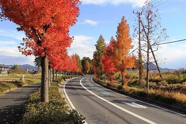 野洲市地名に読み方が難しい「生」