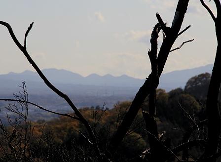 鈴鹿山系の三子山・四方草山を訪れる