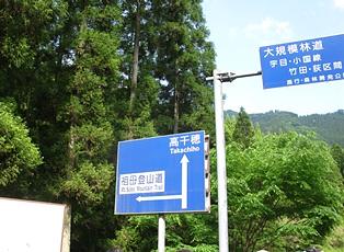 アケボノツツジが咲く祖母山