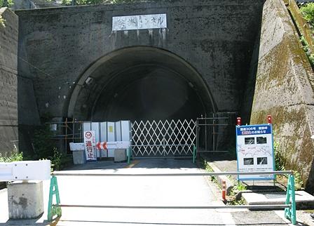 鈴鹿のクマガイソウ探し失敗