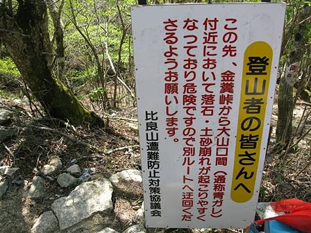 シャクナゲの咲く堂満岳・金糞峠