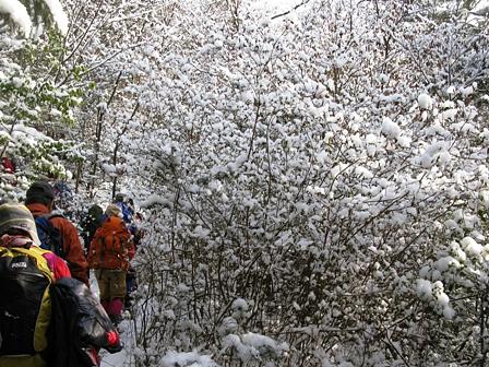 雪華が咲いた湖南アルプス（鶏冠山～竜王山）