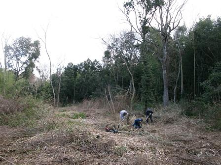 「今でしょ」の言葉から「エノキ」植樹