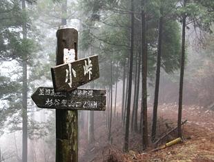 霧氷に出会えた高見山