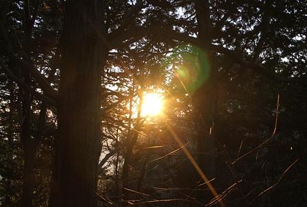 三上山のご来光