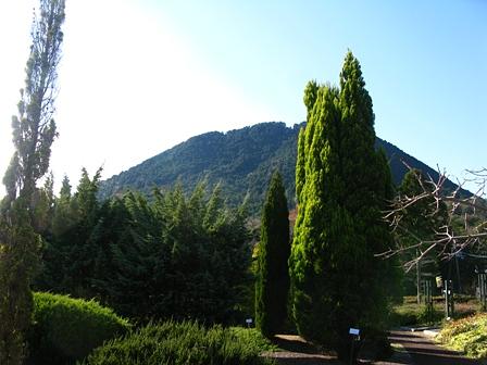 紅葉・黄葉・緑葉に囲まれた近江富士