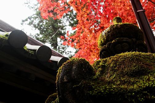 西明寺の梵鐘/鐘を鳴らすおばさん