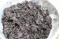 野洲川河川の堆肥≪無料≫