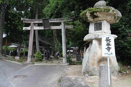 蒸し暑い時期のリトル比良縦走