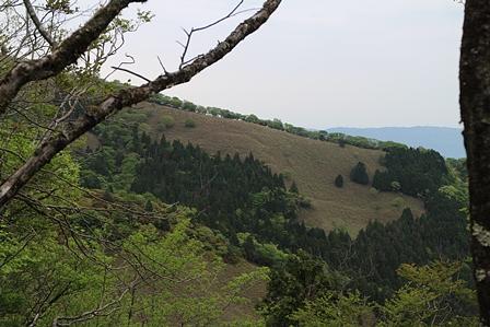 エビネ群落のある竜ヶ岳/鈴鹿