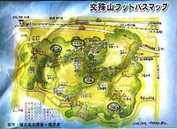 白いカタクリ草/福井・文殊山