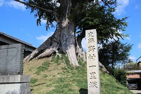 亀山宿～関宿/野村一里塚　