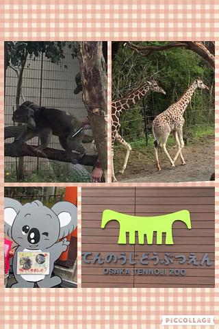 天王寺動物園&ハルカス