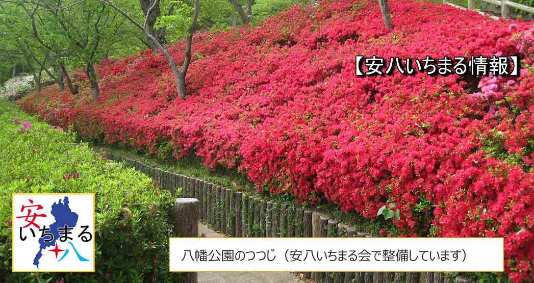 第108回サイクリング開催報告