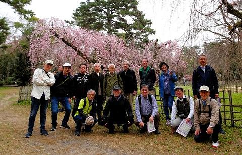 2025年3月25日早春の京都迎賓館と京都御所