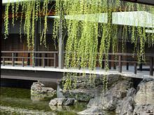 廊橋からの眺め