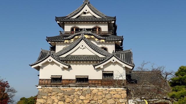 真正面と思いきや