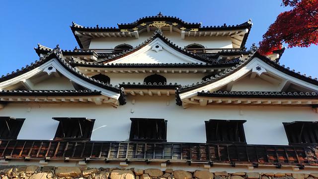 実はこちらが正面