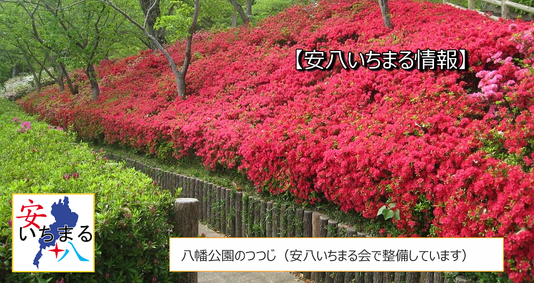 第６０回サイクリングのご案内