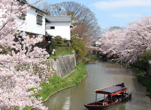 第56回サイクリング結果報告