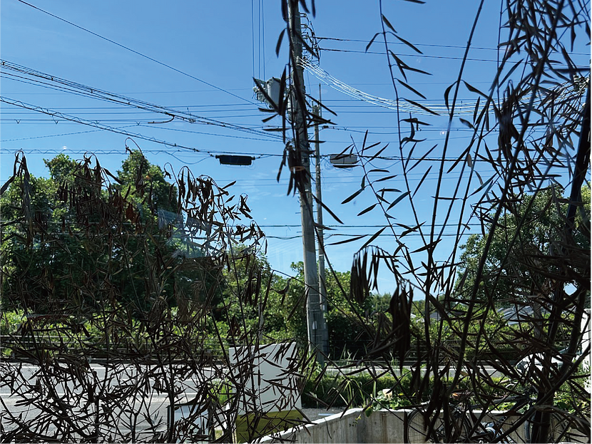 店内からの眺め