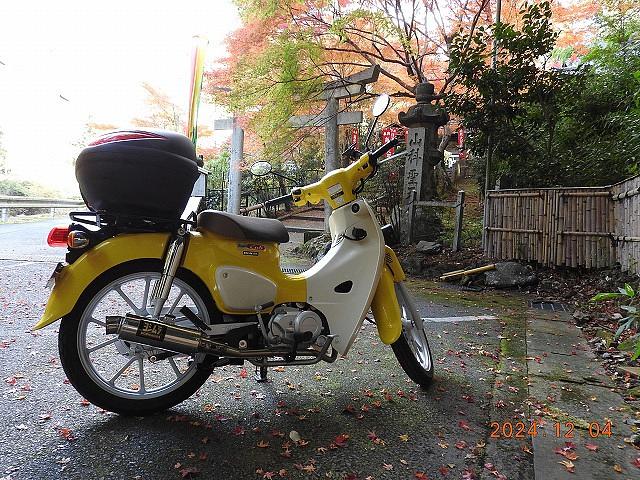 カブに紅葉よく似合う