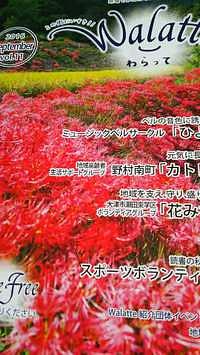 Ｗａｌａｔｔｅ（わらって）(#^^#)