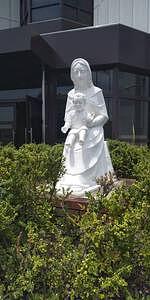 光泉カトリック中学校☆２，３年生