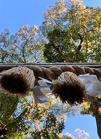 草津第二小学校☆３年生