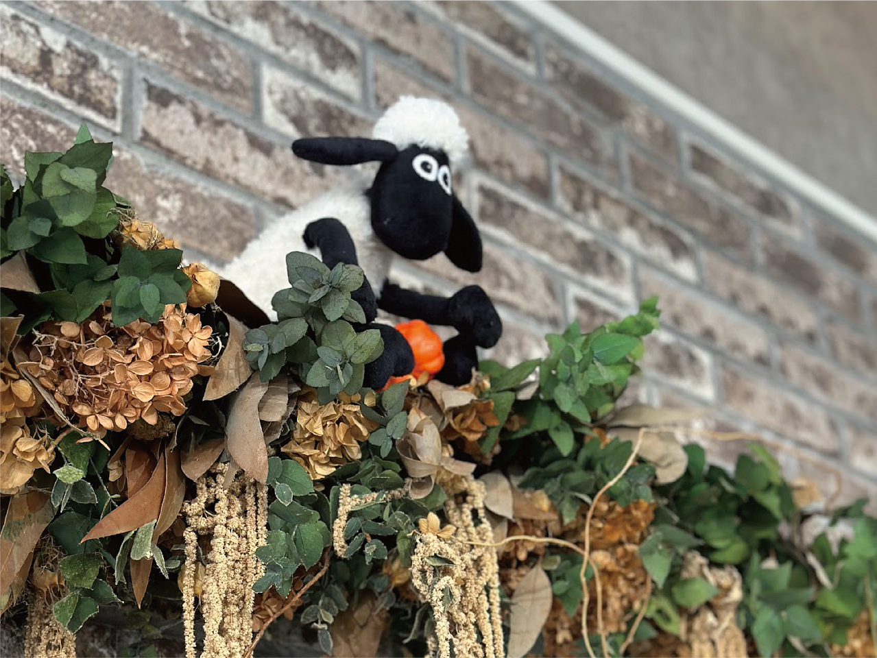 ローザンベリー多和田