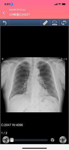 健康診断結果報告もWEBだね！