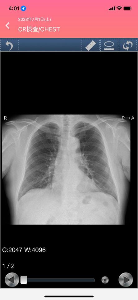 健康診断結果報告もWEBだね！