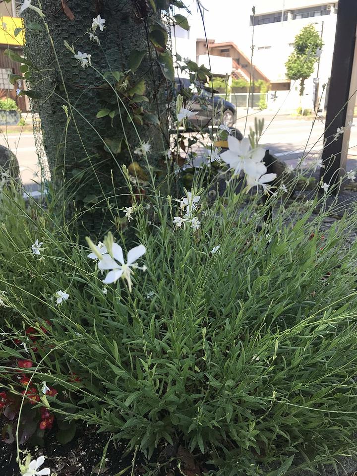 大津市は大丈夫か！　2019/10/01