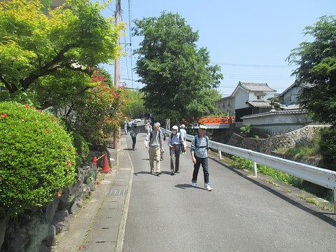 令和5年5月17日ウォーキングサークル報告　新緑を求めて洛北・岩倉を訪ねる　　