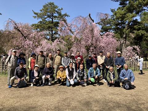 お花見ウォーク