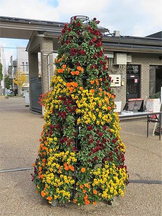 令和3年12月15日ウォーキング活動案内・下見報告