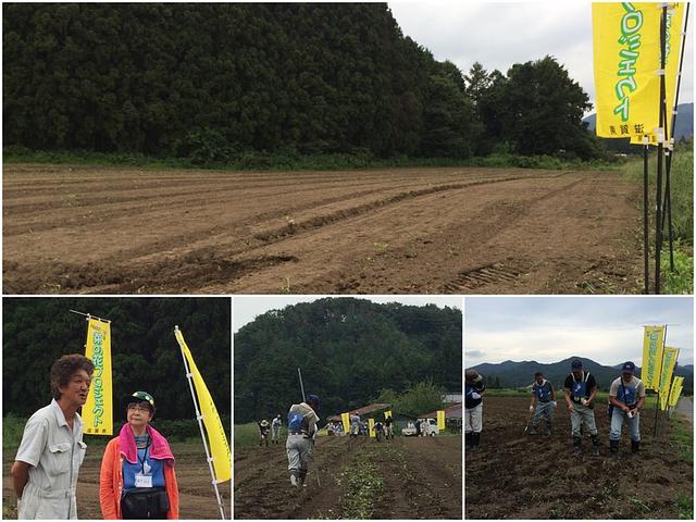 午後  今年最後の種まき