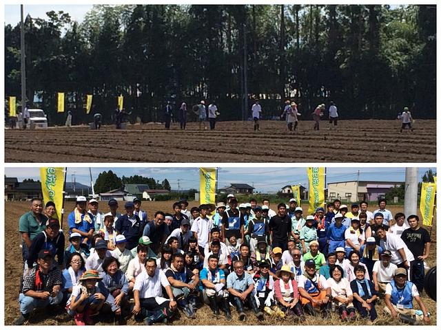 来年の春が楽しみです