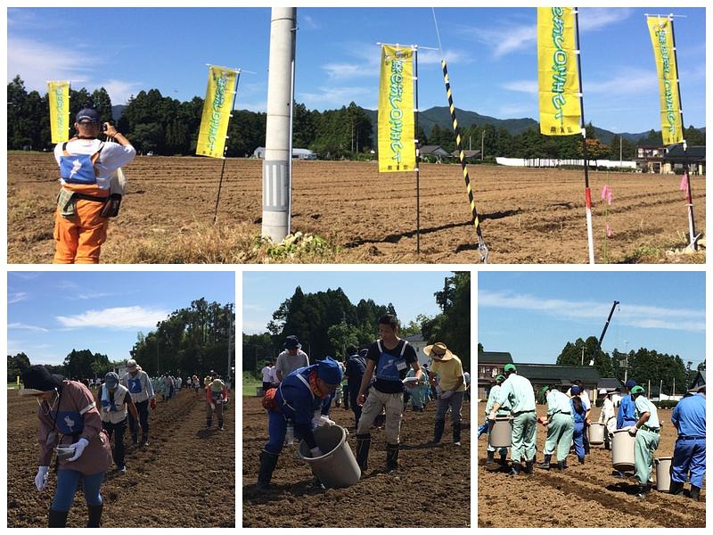 菜の花種まきボランティア  始まりました