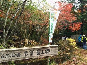 SAVE  JAPAN  プロジェクト  始まります