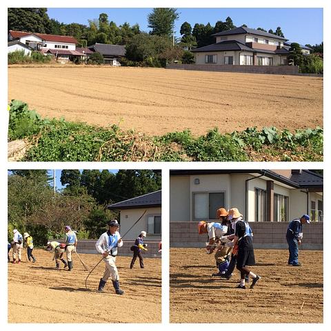 いいお天気です！