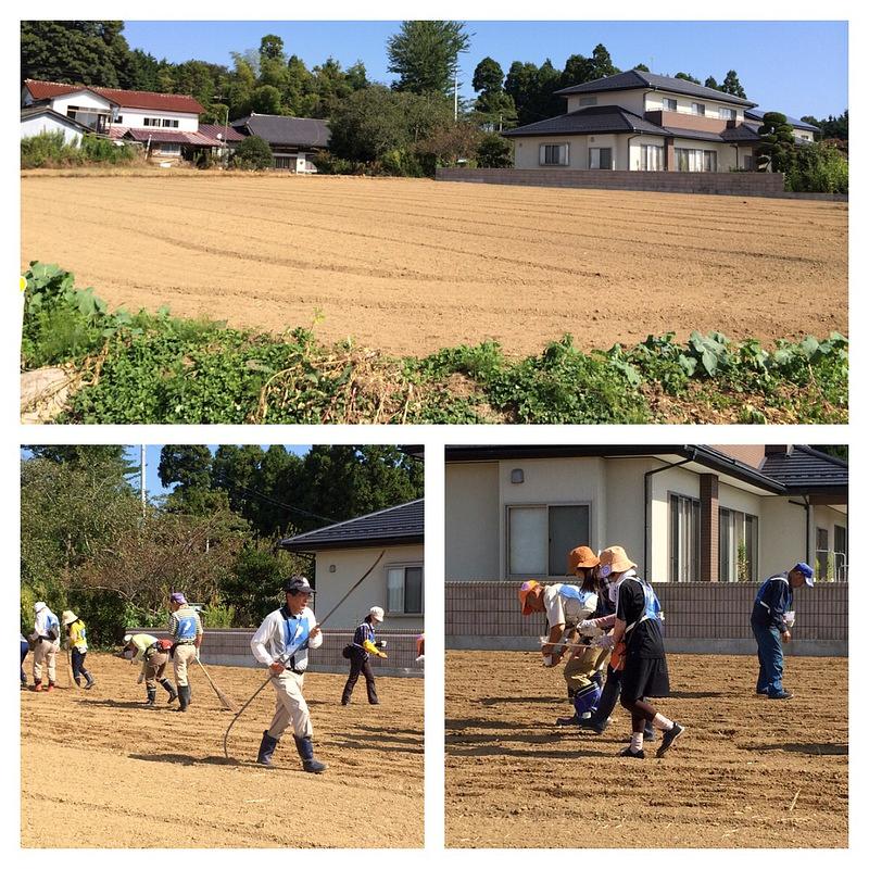 いいお天気です！