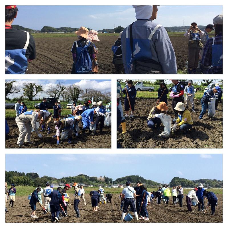 種まきが始まりました