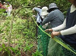 貴重な植物・保護柵の効果を確かめましょう！