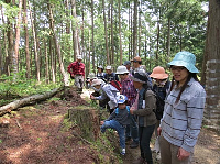 SAVE JAPAN プロジェクトのプログラムを実施