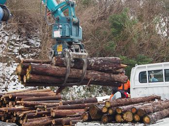 夏原グラント　　現場訪問記事アップ　kikito、いきもの多様性研究所