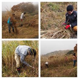 湖北古民家再生ネットワーク　訪問記事アップ