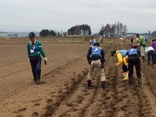 種まき  始まりました