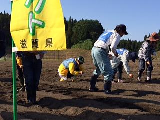 作業が始まりました