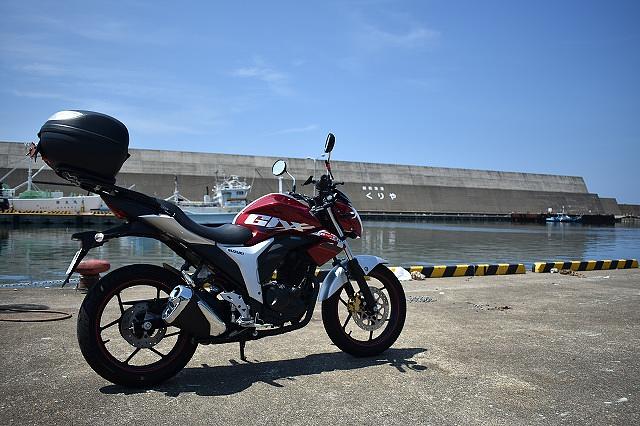 日本一の高さの護岸堤